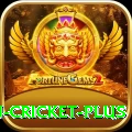 afghanistan cricket - Casino Mega