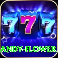andy flower App Plus v2.9.7