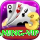 Best Casino in Pakistan Gaming VIP