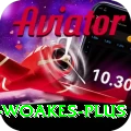chris woakes Ultimate APK v5.5.5