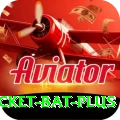 cricket bat Pakistan VIP v4.7.6