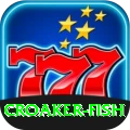 croaker fish Plus - Daily Bonus