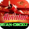 india pakistan cricket Bonus Ultimate v5.4.2