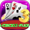 india pakistan cricket - Super Edition v4.7.5