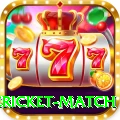 international cricket match Game Plus v4.3.1