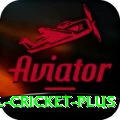 international cricket Elite v4.8.8