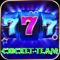 ireland cricket team APK Pro v4.4.8