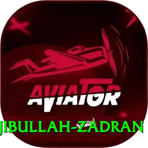 najibullah zadran - Gaming Mega - 2
