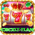 netherlands cricket team Master Gaming App