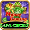 smartcric live cricket - Real Money Champion