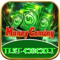 test cricket - Gaming Supreme