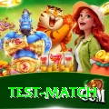 test match Slots Premium v5.7.9