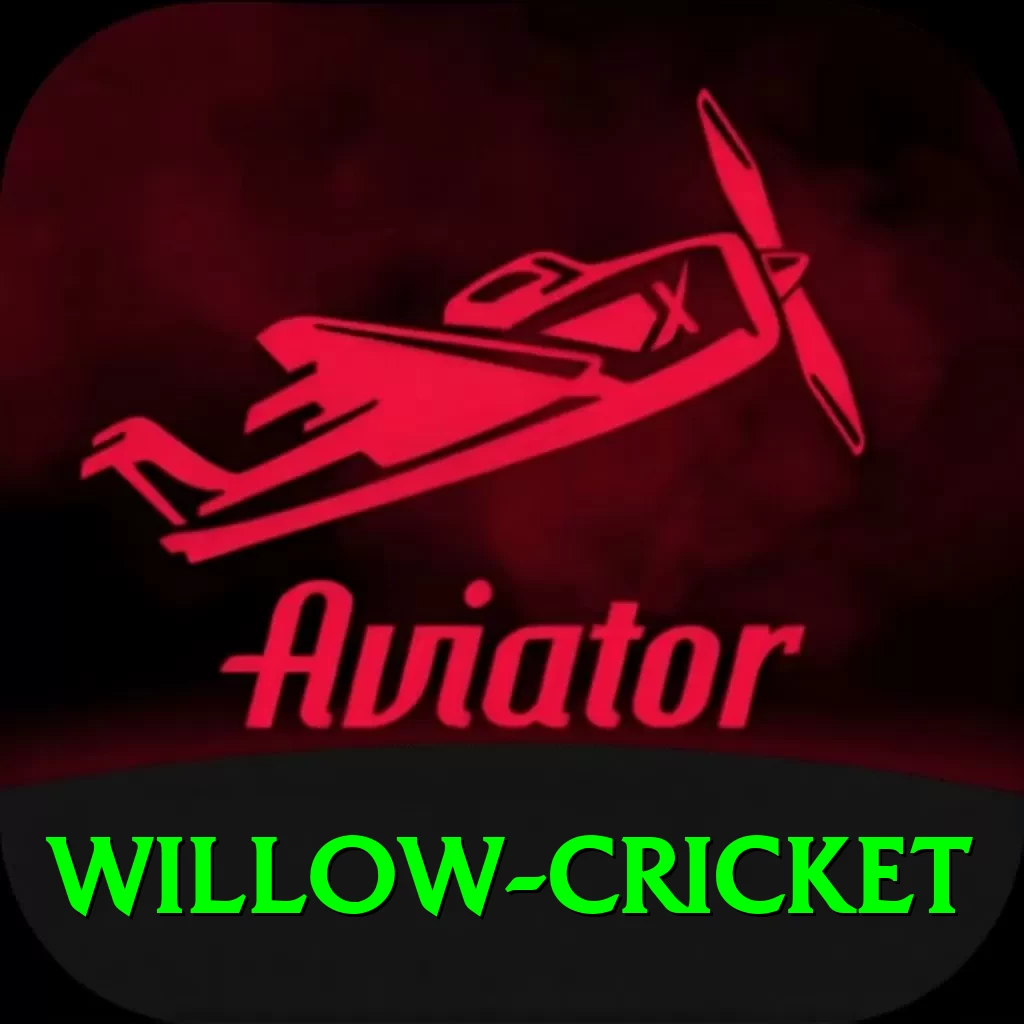willow cricket Ultimate v2.3.7 - 2