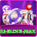 Winli Slots Master 2024